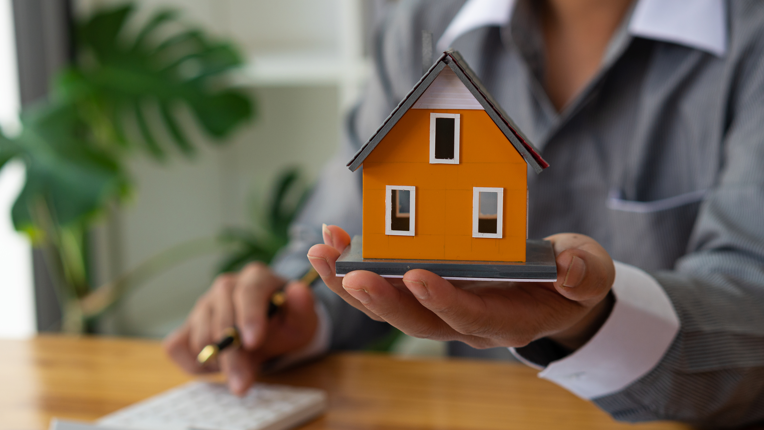 Person holding a model home out