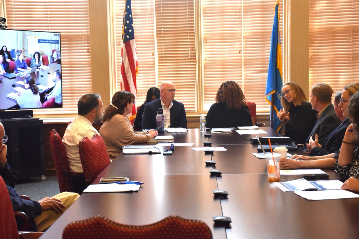 Task Force members meeting around a conference table with the U.S. and Delaware flags behind them